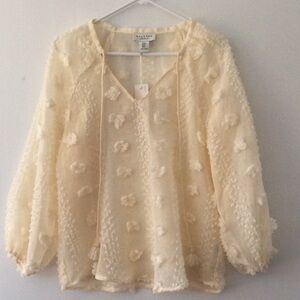 Cream Sheer Blouse with Floral Details